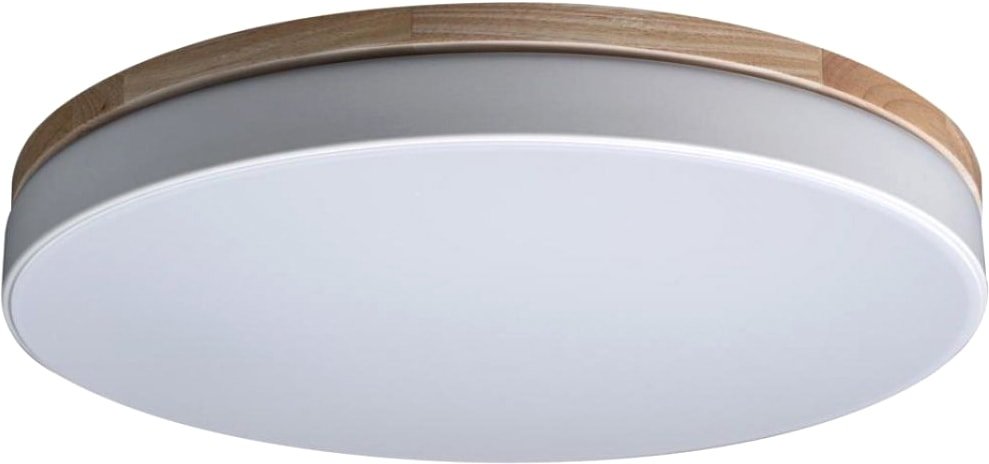 

Светильник-тарелка LOFT IT Axel 10001/36 White