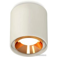 Точечный светильник Ambrella light Techno spot XS7724004 SGR/PYG