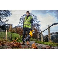 Ручная воздуходувка DeWalt DCMBA572X1-QW (с 1-им АКБ) в Гродно