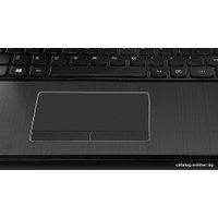 Ноутбук Lenovo Z50-70 (59425133)