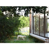 IP-камера TP-Link Tapo C460