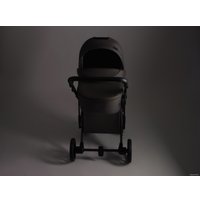 Универсальная коляска Anex E/type 2022 (2 в 1, gothic et-03A)