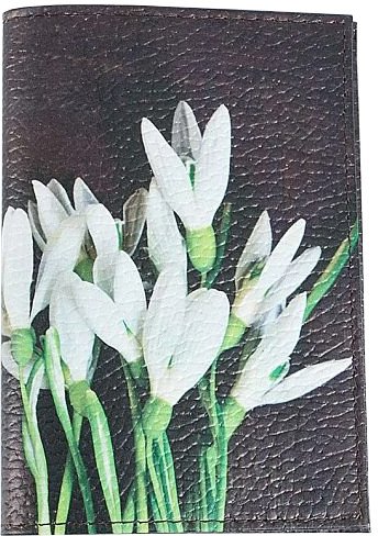 

Обложка для паспорта Poshete 676-1/2-36-CLR (Dark Color)