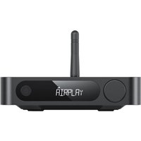 Сетевой ресивер FiiO SR11 (черный)