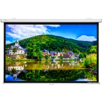 Проекционный экран Projecta Proscreen CSR 154x240 10200315