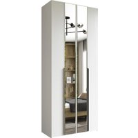 Шкаф-гармошка Евва Лайн ЛН-2D.450.01(1Z/1Z) (бодега белый)