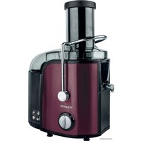Соковыжималка Scarlett SC-JE50S30