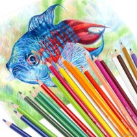 Набор цветных карандашей BRAUBERG 181663 (24 шт.)