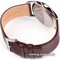 Наручные часы Skagen SKW6237