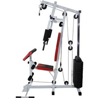 Силовой комплекс AMETIST AM-1st-130 pro