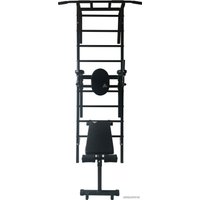 Турник с брусьями DFC VT-7006