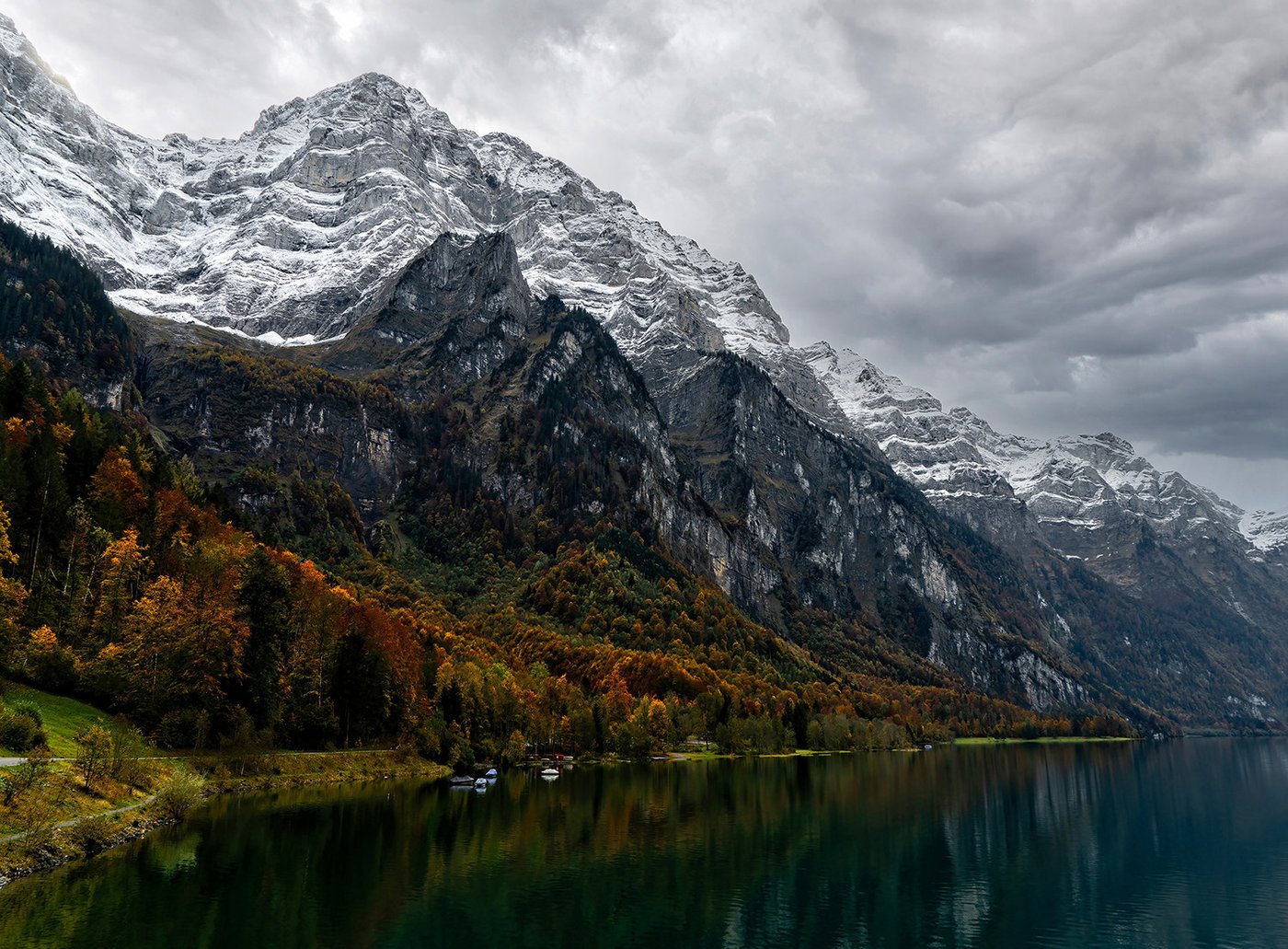 

Картина Vimala 136 50x70 см