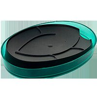 Мыльница Berossi Boho АС 97366000 (мята полупрозрачный)