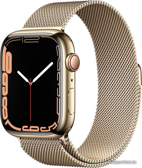 Apple Watch Series 7 LTE 45 мм (сталь золото/миланский золотой) умные ...