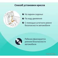 Детское автокресло Nania Rway Access (purple)
