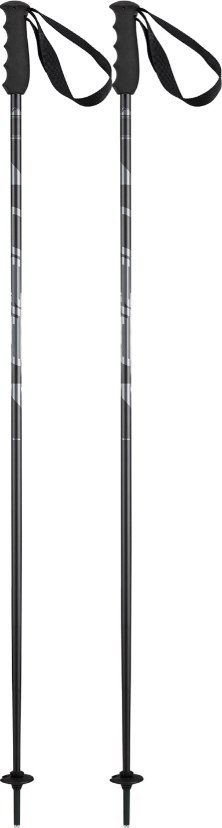 Лыжные палки Elan Speedrod 2024-2025 CD532023-125 (р.125, черный)