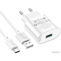 Сетевое зарядное Hoco C109A USB Type-C (белый)