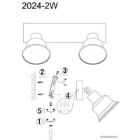 Спот Favourite Clochette 2024-2W