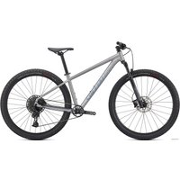 Велосипед Specialized Rockhopper Expert 29 L 2021 (глянцевый серебристый)