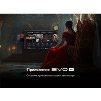 Телевизор Evo TV 50 Black TD0051753RU