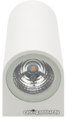 Уличный настенный светильник Rexant 610-002