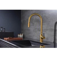 Смеситель Paulmark Iniversal Un213880-BG (золото/брашированное золото)