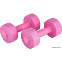 Набор гантелей Atemi AD-02 2x1 кг