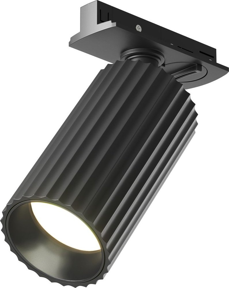 

Трековый светильник Maytoni Technical Calipso TR218-1-GU10-BK