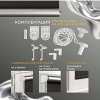 Рулонные шторы Franc Gardiner Blackout Silver 55x160 9403219791 (черный)