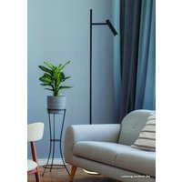 Торшер Maytoni Estudo Z010FL-L8B3K