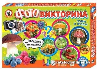 Детская настольная игра Русский стиль Фотовикторина Грибы и ягоды 03435