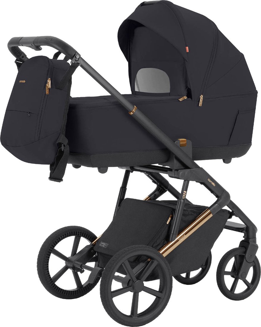 

Универсальная коляска Carrello Sigma 2 в 1 CRL-6523 (Iridium Black)