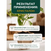 Удобрение Yara Tera Kristalon специальный (500 г)