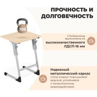 Ученический стол Sheffilton SHT-T-TN27 г5-7 (одн. береза/алюминиевый металлик/серый)