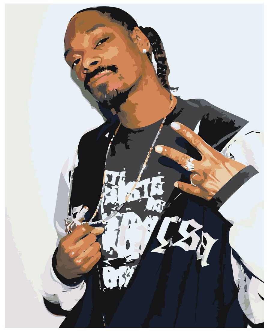 

Картина по номерам SLAVINA Snoop Dogg Снуп Догг Z-AB85