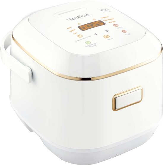 

Мультиварка Tefal RK601132