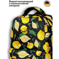 Городской рюкзак Steiner ST1-9