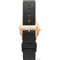 Наручные часы Skagen SKW2209