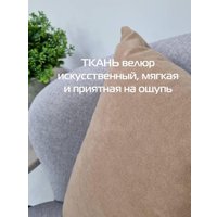 Декоративная подушка Matex Velours 49-784 (2шт, кофейный)