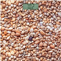 Напольные весы Sencor SBS 2302SN