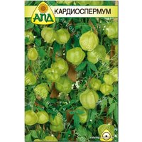Семена цветов АПД Кардиоспермум 6 шт