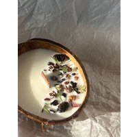 Ароматическая свеча chaos в кокосе (клюквенный лес)