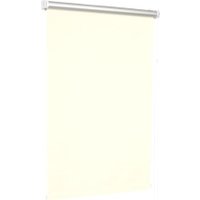 Мини рулонные шторы Delfa Сантайм Термо-Блэкаут СРШ-01МЭД С1001 (48x160, бело-ванильный)