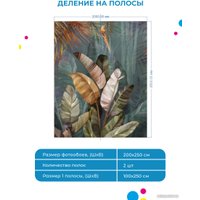 Фотообои ФабрикаФресок Пальмовые листья Афреска 182250 (200x250)