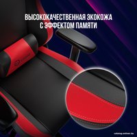 Игровое (геймерское) кресло Lorgar Base 311 (черный/белый)