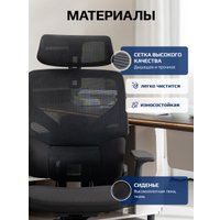 Офисное кресло Evolution LumbarPro FR AL (черный)