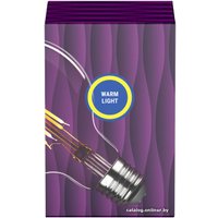 Светодиодная лампочка Rev Винтаж Филамент G95 E27 5 Вт 2700 К 32433 1