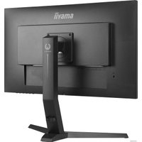 Игровой монитор Iiyama G-Master GB2570HSU-B1