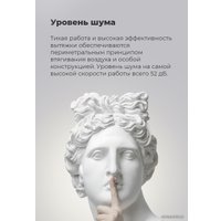 Кухонная вытяжка MAUNFELD Lee Wall 35 (нержавеющая сталь)