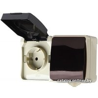 Розетка SmartBuy SBE-04w-16-SWS